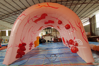 Modelo médico do tubo dos dois pontos do órgão humano da propaganda do tema do evento dos pulmões infláveis gigantes feitos sob encomenda grande
