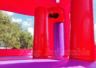 Castelo Bouncy do leão-de-chácara inflável cor-de-rosa do partido das meninas do jogo exterior da casa do salto