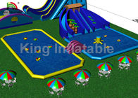 Parques infláveis exteriores gigantes personalizados da água dos adultos para o campo de jogos do divertimento