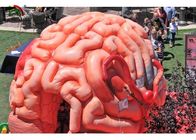 Da réplica inflável do cérebro do gigante 4m órgãos artificiais para GV educacional EN71