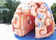 Da réplica inflável do cérebro do gigante 4m órgãos artificiais para GV educacional EN71