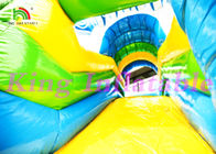 castelo de salto inflável de Multiplay de encerado do PVC de 0.55mm com os animais da corrediça e de mar