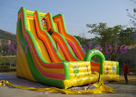 A pista dobro gigante inflável seca a impressão colorida dos desenhos animados da corrediça para o parque de diversões