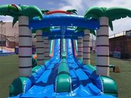 Da corrediça de água inflável do PVC das pistas dobro do Selva corrediça verde/azul com piscina