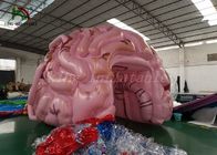 Modelo inflável personalizado do cérebro da simulação da barraca do evento do tamanho para a mostra médica