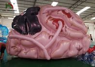 Modelo inflável personalizado do cérebro da simulação da barraca do evento do tamanho para a mostra médica