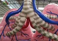 Barraca cor de carne da mostra do órgão do modelo do pulmão da simulação da explosão para o estudo médico