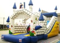 Castelo de salto inflável do divertimento/encerado de salto inflável do PVC do leão-de-chácara