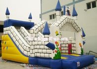 Castelo de salto inflável do divertimento/encerado de salto inflável do PVC do leão-de-chácara