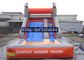 Tarpaulin Inflatable Water Slide With Pool Customized Color For Outdoor Fun