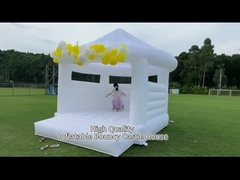 Castelo inflável do leão-de-chácara