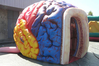 Brain Model Organs Exhibition Giant mega inflável Brain Tent grande humano