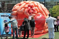 Exposições infláveis das conferências de Brain Model Tent Inflatable Medical - cérebro mega