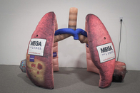 Exposição médica gigante inflável das atividades de Brain Heart Lungs For Teaching dos órgãos humanos