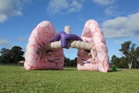 Eventos infláveis gigantes da exposição de Lung Model Advertising For Medical