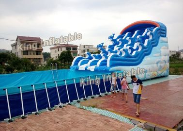 Parques infláveis da água da bacia azul do apoio do golfinho com PVC de Plato da corrediça