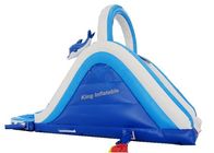 Mini Inflatable Water Slide With Double And Quadruple Stitching Blue And White
