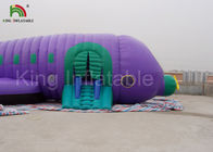 casa inflável do salto do avião de 12m/leão-de-chácara inflável do bebê de Sun para o arrendamento