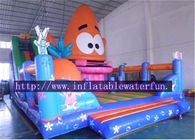 Parque de diversões inflável colorido do PVC com corrediça para crianças e adultos