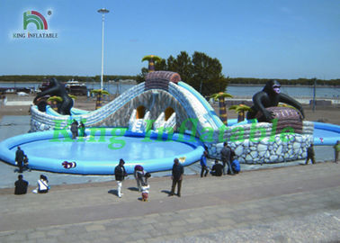 Parques infláveis enormes da água com personagens de banda desenhada, corrediças, piscinas