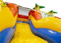 Corrediça de água inflável impermeável do PVC com o campo de jogos combinado da associação/leão-de-chácara