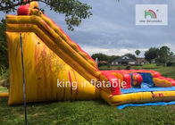 Casa seca inflável grande colorida do salto de S da corrediça/crianças ‘com corrediça