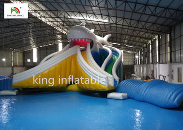 Piscina inflável dos desenhos animados gigantes com a costura bilateral do dobro da corrediça