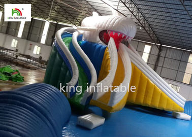 Piscina inflável dos desenhos animados gigantes com a costura bilateral do dobro da corrediça