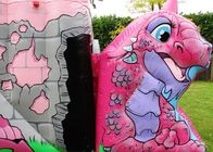 A princesa Combinado Inflável Salto Casa dos desenhos animados do dragão do rosa do PVC com telhado caçoa o jogo