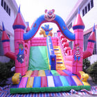 Personalize o castelo de salto inflável com o encerado inflável do PVC do leão-de-chácara das crianças da corrediça