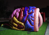 Simulação inflável Brain Model For Medical Show humano da exposição