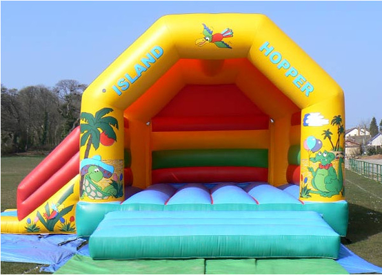 Casa Bouncy colorida 22ft x 19ft do castelo para a festa de anos